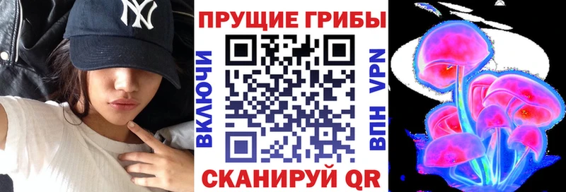 площадка состав  Мамадыш  Галлюциногенные грибы Psilocybe 